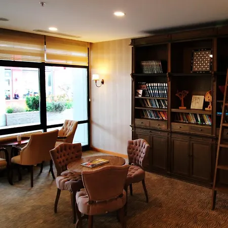 酒店 沙丽莎酒店 伊斯坦布尔